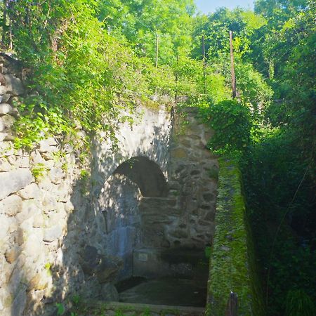 Puig Roja Del Roser Prats-de-Mollo-la-Preste Exteriér fotografie